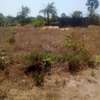 A VENDE TERRAIN CAP SKIRRING  800m2 thumb 1