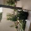 villa louer mermoz thumb 8