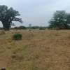 21 hectares à vendre à sindia entre Nguekhokh et Ngerigne thumb 6