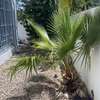 Colocation villa meublee thumb 0