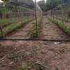 LIVRAISON FRUIT LEGUME ENGRAIS SEMENCE CAMION FRIGO 20M3 thumb 0