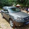 Hyundai Santa Fe SUV 2010 thumb 2