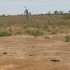 Terrains 225m2 à vendre à Thiès Pallo thumb 2
