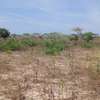 Terrain agricole accessible a vendre thumb 5