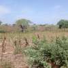 Terrain agricole accessible a vendre thumb 1
