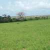 Terrains agricoles de plus de 50 hectares à vendre thumb 2