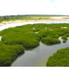 Terrain à vendre 300m2 bail mbodiene thumb 1