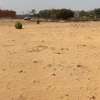 Terrains de 7 590 m² dans la zone horticole de Tassette thumb 8