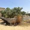 TERRAIN Angle 150m2 KOUNOUNE thumb 1