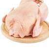 POULET , CUISSE, PILON thumb 1