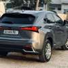 2020 Lexus NX 300H Hybrid thumb 13