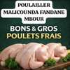 POULETS DE CHAIR EN GROS ET DETAIL thumb 1