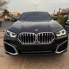 BMW X6 _2023 thumb 0