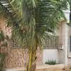 Villa cité siga Almadies 2 thumb 1