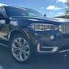 BMW X5 Luxury thumb 2