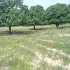 5 hectares à vendre entre Saou et Diambalo thumb 8