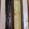 Vanille Pompona gourmet 25 cm thumb 1