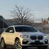 BMW X4 Xdrive 30i 2019 thumb 2