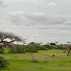 Terrain agricole a vendre thumb 0
