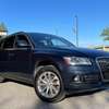 Audi Q5 2015 thumb 1