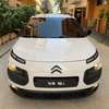 C4 cactus thumb 3