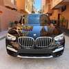 BMW X3 _2019 thumb 0
