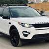 Range Rover discovery thumb 2