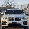 BMW X4 Xdrive 30i 2019 thumb 0