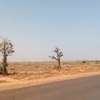 Bambilor 90 hectares de terrain en titre foncier individuel thumb 7