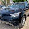 Toyota Rav4 2018 thumb 13