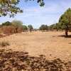 Terrains de 7 590 m² dans la zone horticole de Tassette thumb 4