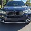 BMW X5 Luxury thumb 1