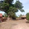 Grands terrains et case face réserve bandia thumb 0