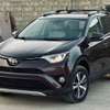 TOYOTA RAV 4 LIMITED 2017 thumb 1