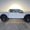 FORD F-150 – Surélevé, robuste et prêt à tout ! thumb 0