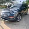 hyundai santa-fe 2017 thumb 8