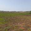 Terrain agricole à Mboro thumb 7