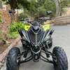 Yamaha raptor YFM homologué 2024 thumb 1