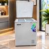 CONGELATEUR ALPHA HORIZONTAL 98LITRES GRIS thumb 0