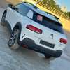 Citroen  C4 Cactus Modèle 2019 thumb 14