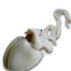 Seiche , calamar, crabe, pince crabe thumb 2