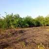 𝐕𝐞𝐫𝐠𝐞𝐫 𝐝𝐞 1 𝐡𝐞𝐜𝐭𝐚𝐫𝐞𝐬 6000m2 𝐞𝐧 𝐩𝐥𝐞𝐢𝐧𝐞 𝐩𝐫𝐨𝐝𝐮𝐜𝐭𝐢𝐨𝐧 thumb 14