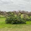 Terrain agricole a vendre thumb 1
