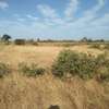 Terrain 2,5 hectares à vendre, Mbour près du RN1 thumb 4