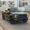 Ford F150 année 2024 thumb 1