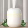 Diffuseur parfumeries thumb 2
