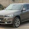 BMW X5 2018 thumb 0