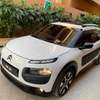 C4 cactus thumb 7