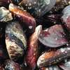 FRUITS DE MER ET POISSONS thumb 0