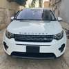 Range Rover Discovery 2019 thumb 0